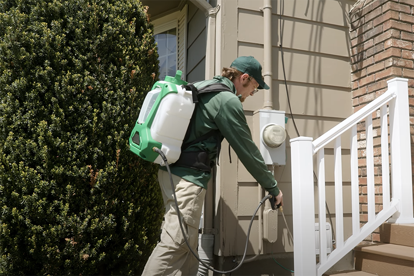 pest control service
